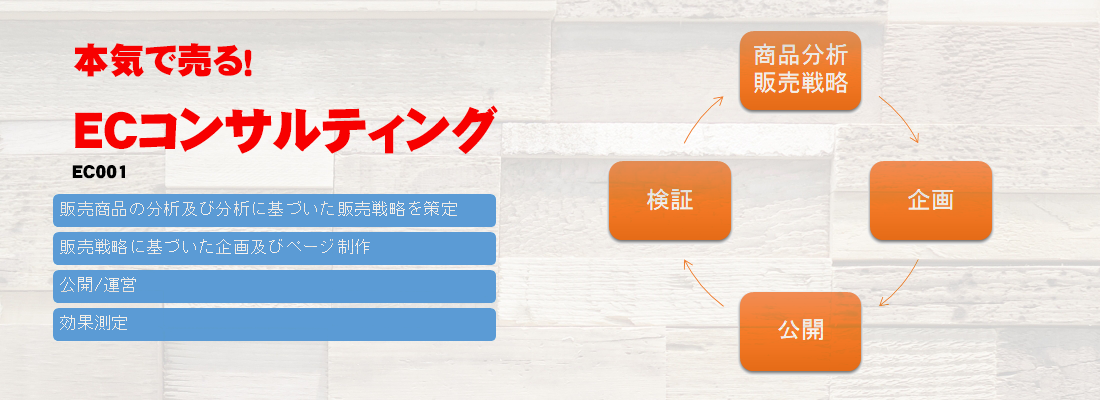 ECコンサルティング
